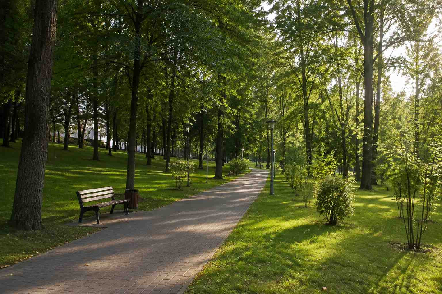 https://ekaterinburg.blago-s.ru/storage/app/uploads/public/6a7/eef/ed2/6a7eefed2af22038960370.jpg
